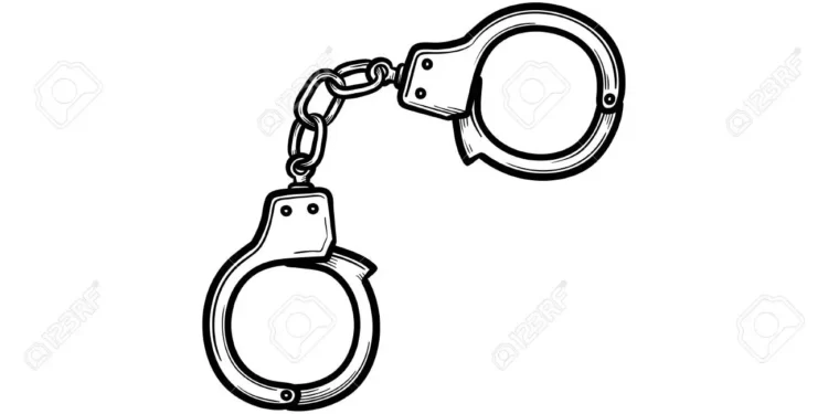 चहाचा ब्रांड बनवून देण्याचे आमिष देऊन फसवणूक