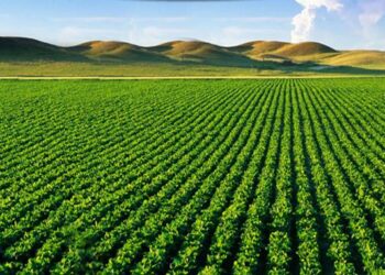 शेतकऱ्यांना खरीप हंगामासाठी पाणी अर्ज सादर करण्याचे आवाहन