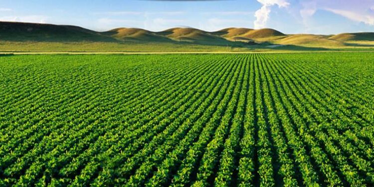 शेतकऱ्यांना खरीप हंगामासाठी पाणी अर्ज सादर करण्याचे आवाहन