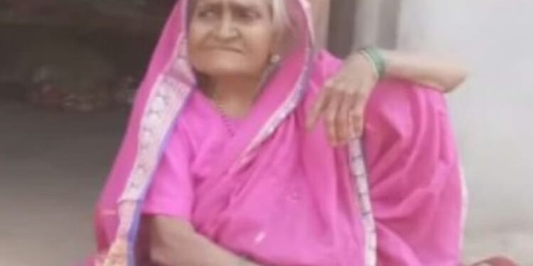 विळ्याने वार करून वृध्द महिलेची निर्घृण हत्या