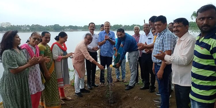 पर्यावरण समतोलासाठी वृक्षसंवर्धन महत्त्वाचे – जिल्हाधिकारी अभिजीत राऊत