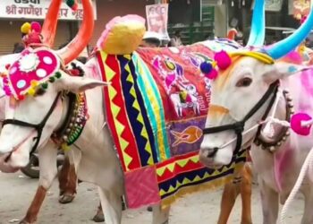 पोळ्याला बैलांची पूजा गोठ्यातच करण्याचे आवाहन