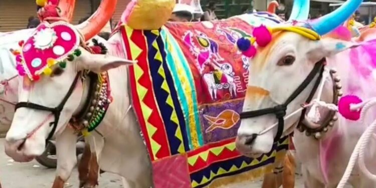 पोळ्याला बैलांची पूजा गोठ्यातच करण्याचे आवाहन