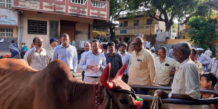 लम्पि रोगापासून काळजी घेण्यासाठी पशु पालकांनी खबरदारी घ्यावी