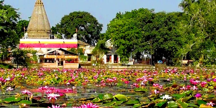 श्री क्षेत्र पद्मालय देवस्थान तीर्थस्थळास ‘ब’ वर्गाचा दर्जा