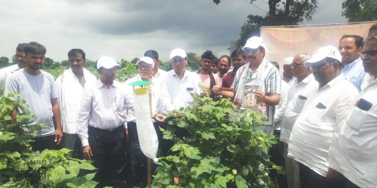 गुलाबी बोंड अळी शेतकऱ्यांनी गांभीर्याने घेण्याची गरज – डॉ.भागीरथ चौधरी