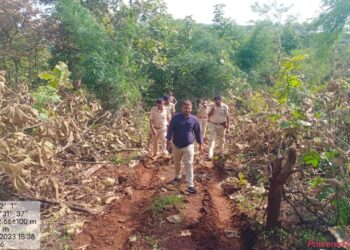 चोपडा तालुक्यातील देवझिरी वनक्षेत्रात अवैध वृक्षतोड