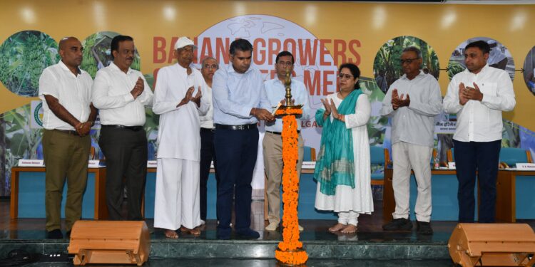 केळी निर्यातीसाठी जळगावात बनाना क्लस्टरचे प्रयत्न करु – अभिषेक देव