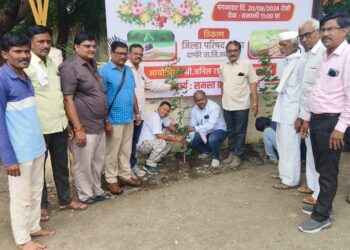 गांधी रिसर्च फाऊंडेशनतर्फे दापोरे जि. प. शाळेत वृक्षारोपण