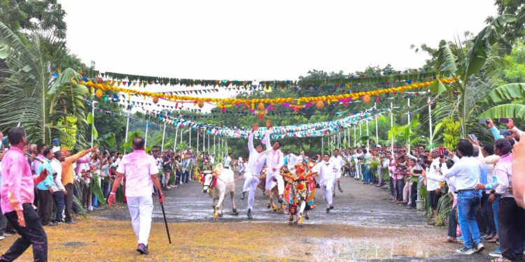 जैन हिल्स वर पोळा उत्साहात