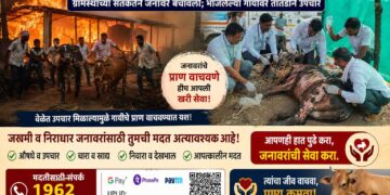 साळवा येथे खळ्याला आग
