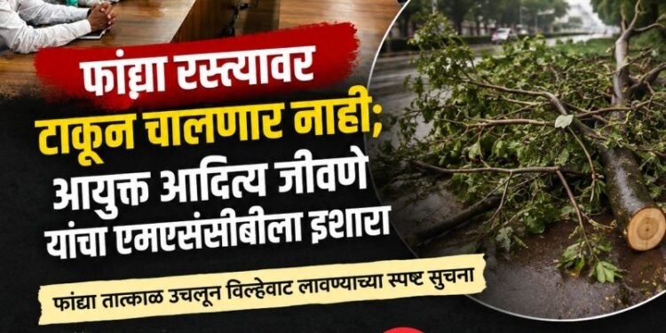 छाटणी करा, पण फांद्यांची विल्हेवाटही लावा